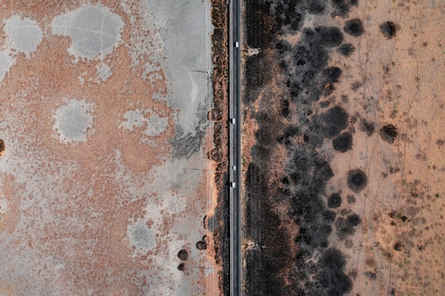 What Is Mold Remediation